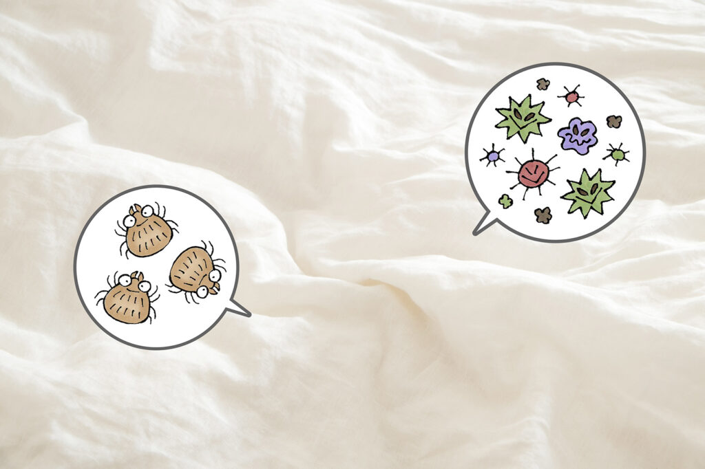 経営リスク回避のための布製品全体に潜む脅威と衛生管理