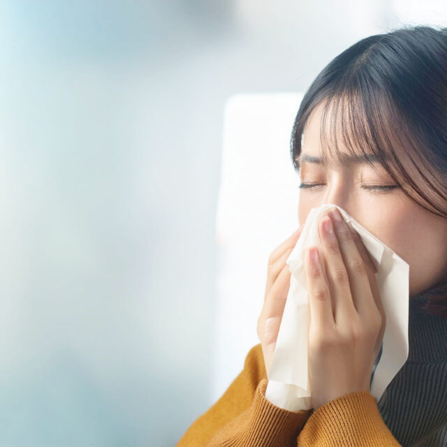 黄砂や花粉はピークの前に出張消毒サービスで対策を！